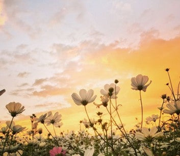 Hello Spring: 5 Ways to Enhance Your Mental Wellness During Springtime